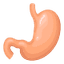 MedyHealth - Gut Health in Gurgaon Delhi NCR