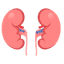 MedyHealth - Kidney in Gurgaon Delhi NCR